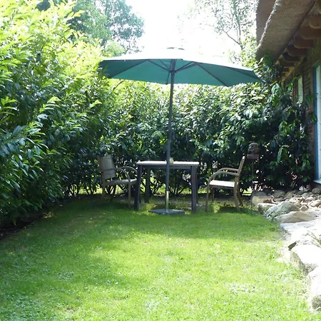 Daire Sonnenschein Walsrode